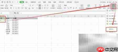WPS Excel快速输入序列号技巧