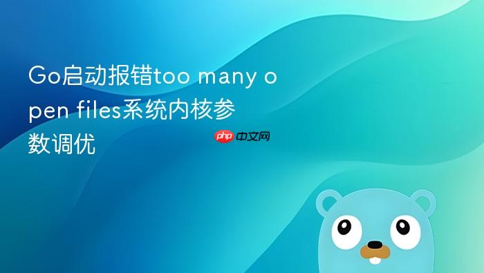 go启动报错too many open files系统内核参数调优