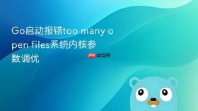 go启动报错too many open files系统内核参数调优
