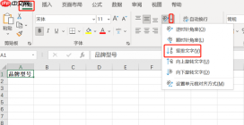 excel字体竖排怎么设置 excel字体大小怎么调整