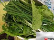巧用生活小窍门,省时又省力