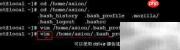 Linux系统必备技巧速览