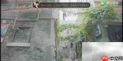 TV版与DVD版有何不同