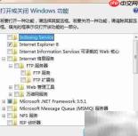 FTP传输服务设置指南