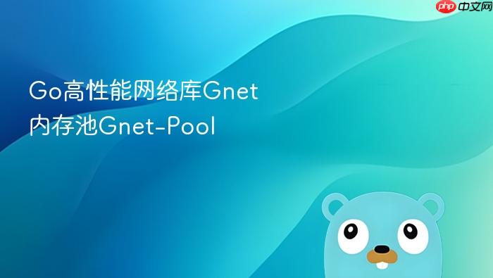 go高性能网络库gnet内存池gnet-pool