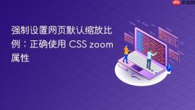强制设置网页默认缩放比例:正确使用 CSS zoom 属性