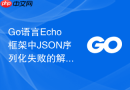Go语言Echo框架中JSON序列化失败的解决方案：结构体字段必须导出