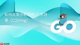 如何高效分配空的 C 字符串（CString）

