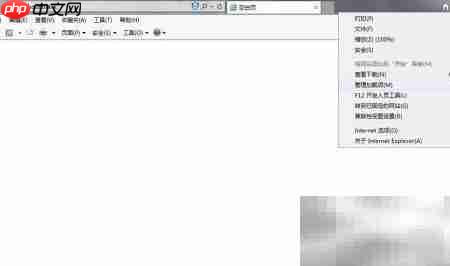 2345劫持IE首页解决方法