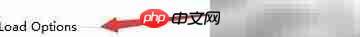Radeon RAMDisk启动自动创建磁盘