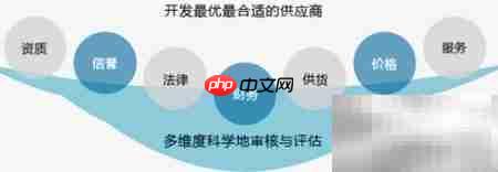 高效采购管理：软件助力