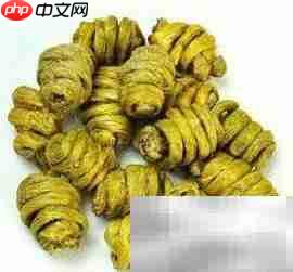 铁皮枫斗与紫皮枫斗鉴别