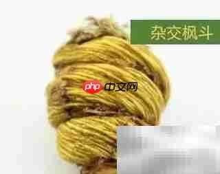 铁皮枫斗与紫皮枫斗鉴别