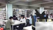 数字化图书馆建设方案