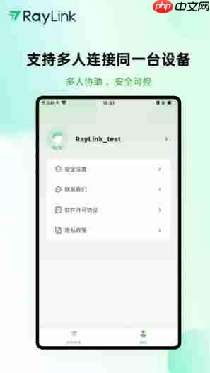 RayLink如何设置会话水印