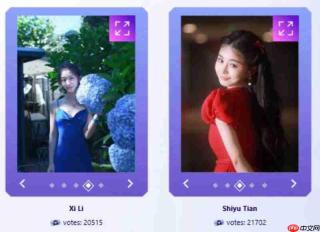 《名利场2》选角最后24小时:总票数逼近20万,两组演员竞争白热化