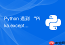 Python 遇到 “Pika.exceptions.ChannelClosedByBroker” 报错怎么快速定位原因？