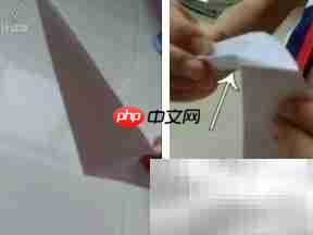 扑翼鸟DIY:轻松制作飞行玩具