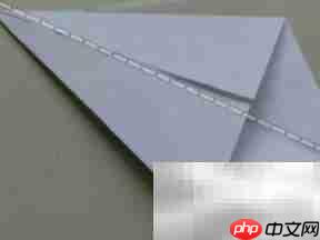 扑翼鸟DIY:轻松制作飞行玩具