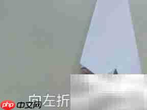 扑翼鸟DIY:轻松制作飞行玩具