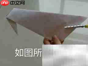 扑翼鸟DIY:轻松制作飞行玩具