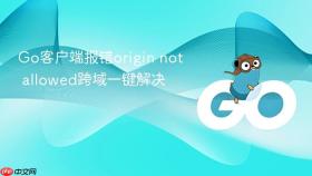go客户端报错origin not allowed跨域一键解决