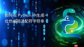 如何在 Python 中生成一位热编码通配符字符串