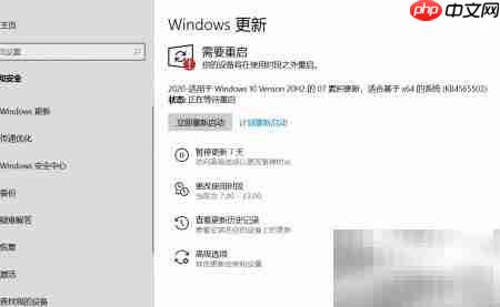 Win10 20H2 07月更新指南