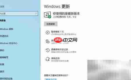 Win10 20H2 07月更新指南
