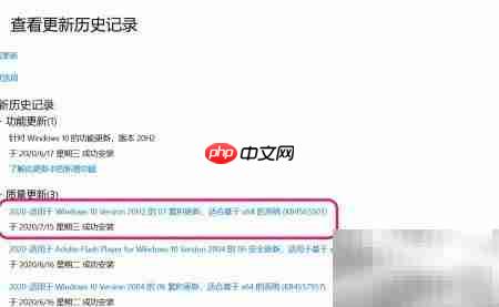 Win10 20H2 07月更新指南