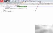 Notepad++关闭代码波浪线