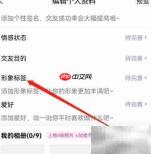 安卓聊天漂流瓶形象标签添加指南