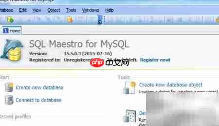 Maestro导出视图至DBF