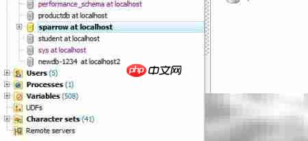 Maestro导出视图至DBF