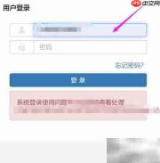 大学考试安排全解析