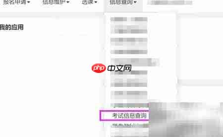 大学考试安排全解析