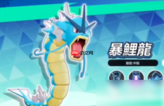 宝可梦大集结暴鲤龙厉害吗 宝可梦大集结暴鲤龙强度介绍