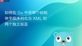 如何在 Go 中将单个结构体字段序列化为 XML 的两个独立标签
