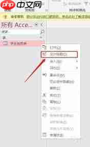 access怎样在设计视图中更改字段数据格式