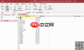 access怎样在设计视图中更改字段数据格式