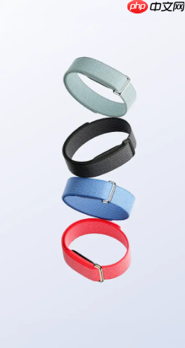 谷歌公开 Fitbit Air 设计蓝图，邀请第三方厂商定制专属配件