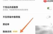 绿洲隐身访问方法