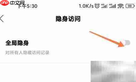 绿洲隐身访问方法