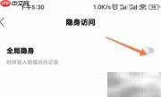 绿洲隐身访问方法
