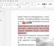用格式刷快速复制文本格式