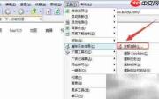 Green Browser清除浏览数据方法