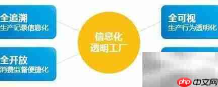 信息化透明工厂解析