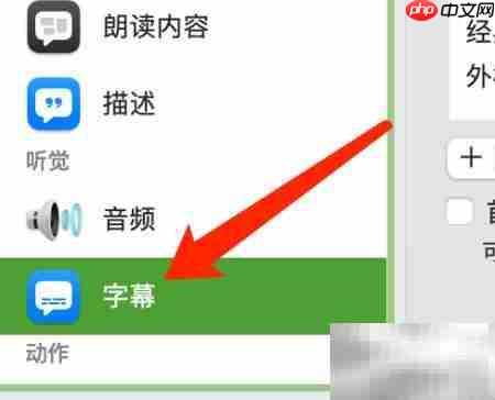 MacOS字幕样式设置指南