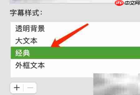 MacOS字幕样式设置指南