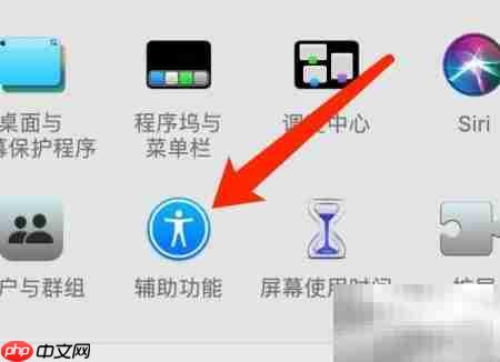 MacOS字幕样式设置指南